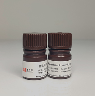 Recombinant Enterokinase
