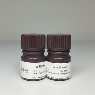 Penicillinase