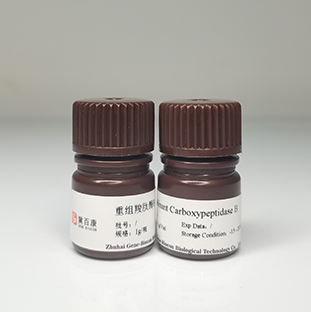 Recombinant Carboxypeptidase B（with His Tag）