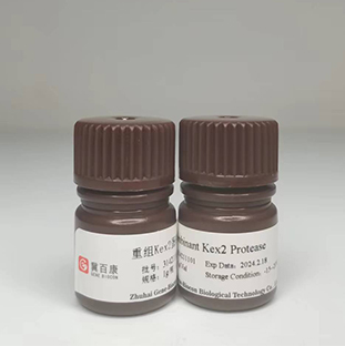 Recombinant Kex2 Protease