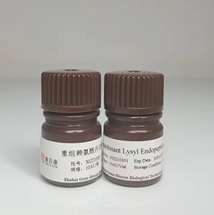 Recombinant Lysyl Endopeptidase (Biochemical Grade)