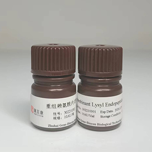 Recombinant Lysyl Endopeptidase (Mass Spectrum Grade)