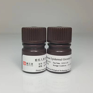 Recombinant  Human Epidermal Growth Factor (EGF)