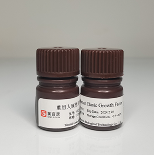 Recombinant  Human Basic Fibroblast Growth Factor (bFGF)