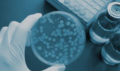 The Breakthrough of Probiotic Yeast Cometic Raw Materials