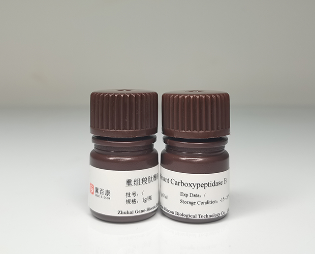recombinant carboxypeptidase b genebiocon
