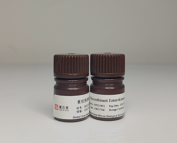 recombinant enterokinase genebiocon