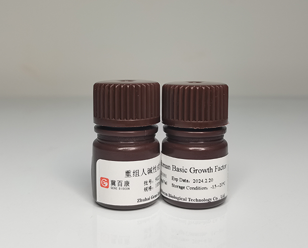 recombinant human basic fibroblast growth factor genebiocon