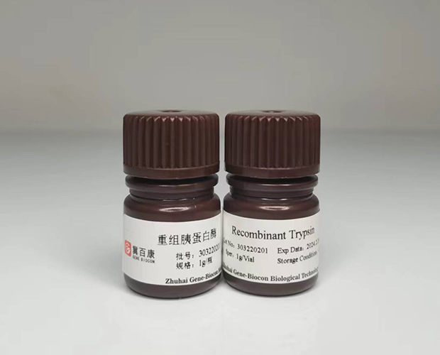 recombinant trypsin genebiocon