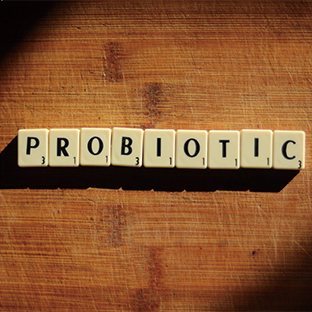 Probiotic Yeast