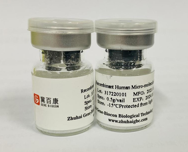 the recombinant human micro molecule collagen