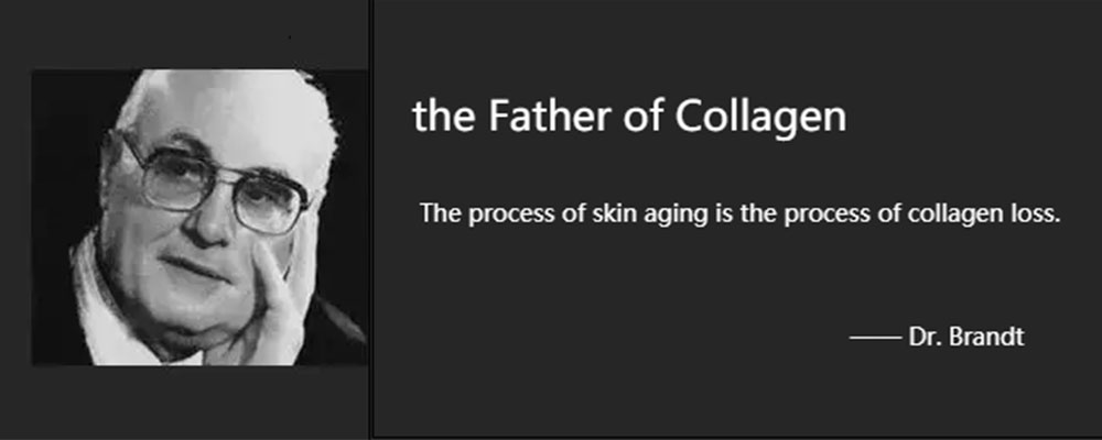 collagen.jpg