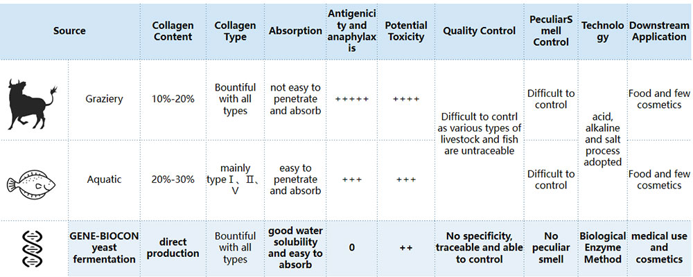 recombinant-human-micro-molecule-collagen.jpg