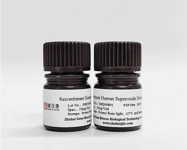 Recombinant  Human Superoxide Dismutase